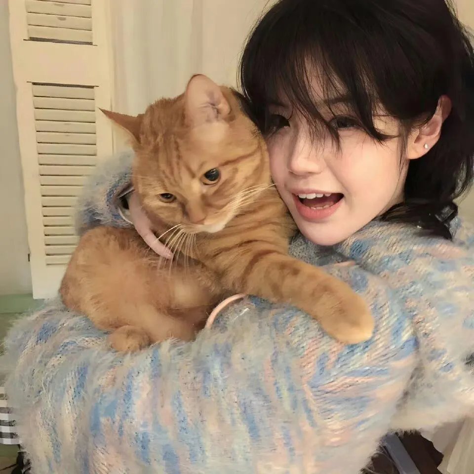 怪盗Joker第一季